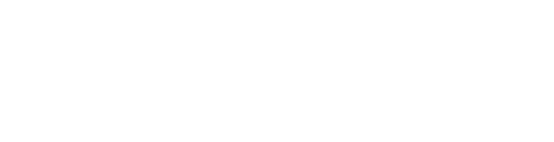 Nubia Logo